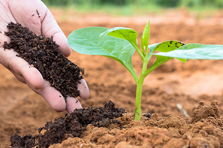 Foto La propuesta de Reglamento Europeo sobre fertilizantes propone un marcado CE y ofrece más seguridad jurídica a los productores.